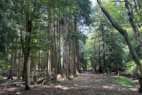 undefined, Leader Copse (about 6 acres), Tadley, Basingstoke, Hampshire RG26
