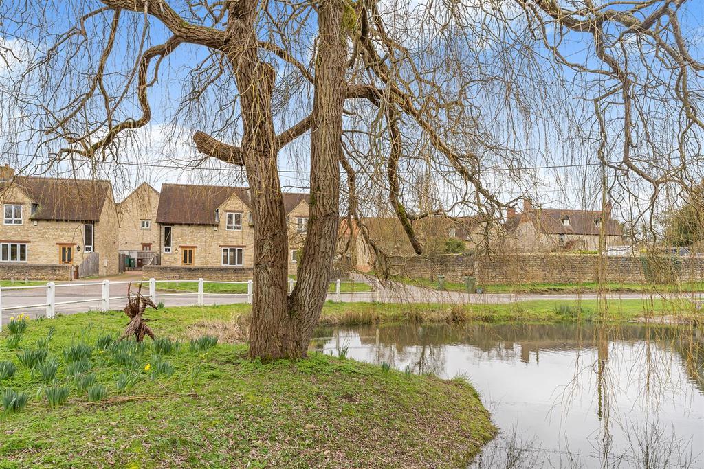 3 Moorhen Close-24.jpg