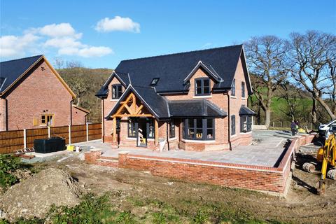undefined, Pontdolgoch, Caersws, Powys, SY17
