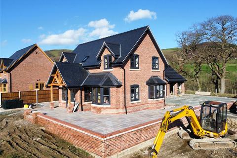 undefined, Pontdolgoch, Caersws, Powys, SY17
