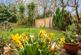 Additional image 6 of Kings Road, Petersfield, Hampshire