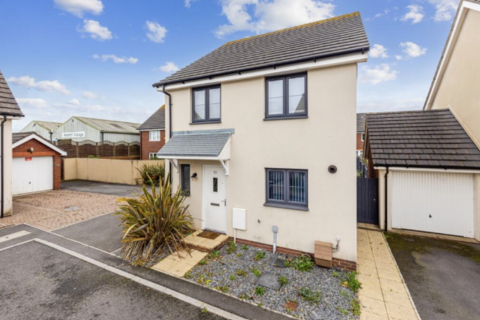 undefined, Mimosa Way, Paignton, TQ4