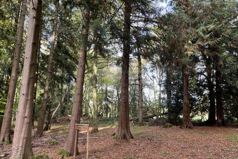 undefined, Gander Wood (about 4.5 acres), Tadley, Basingstoke, Hampshire RG26