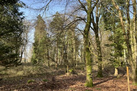 undefined, Rosehip Wood (4 and two third acres), Crawley, Winchester, Hampshire SO21