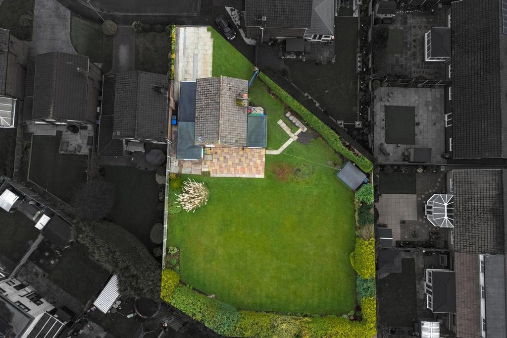 Plot Size