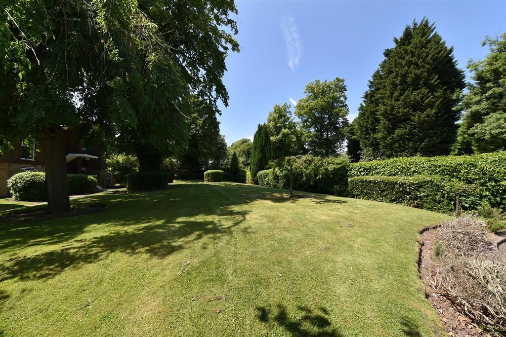 Garden.jpg