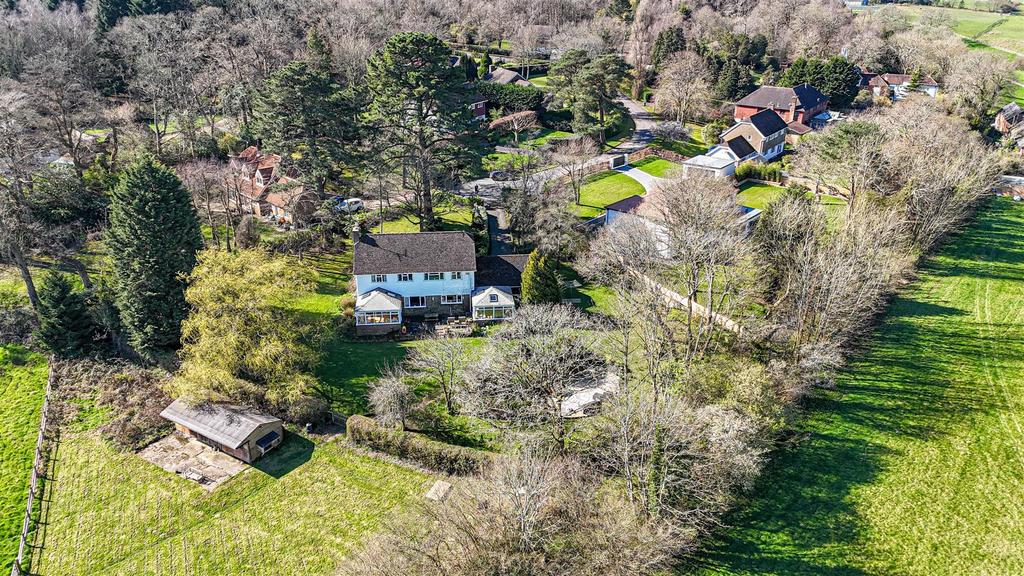 DJI 20260318104617 0177 D.jpg