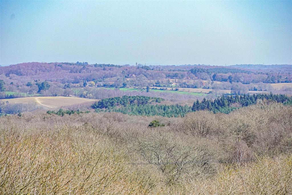 DSC03035.jpg