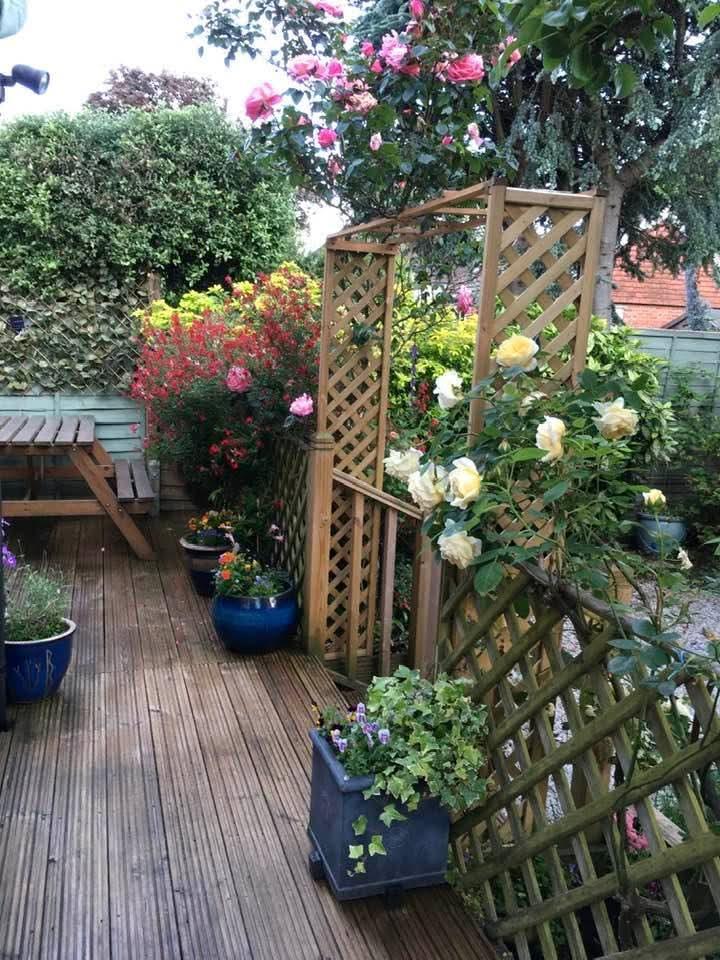 Garden.jpg