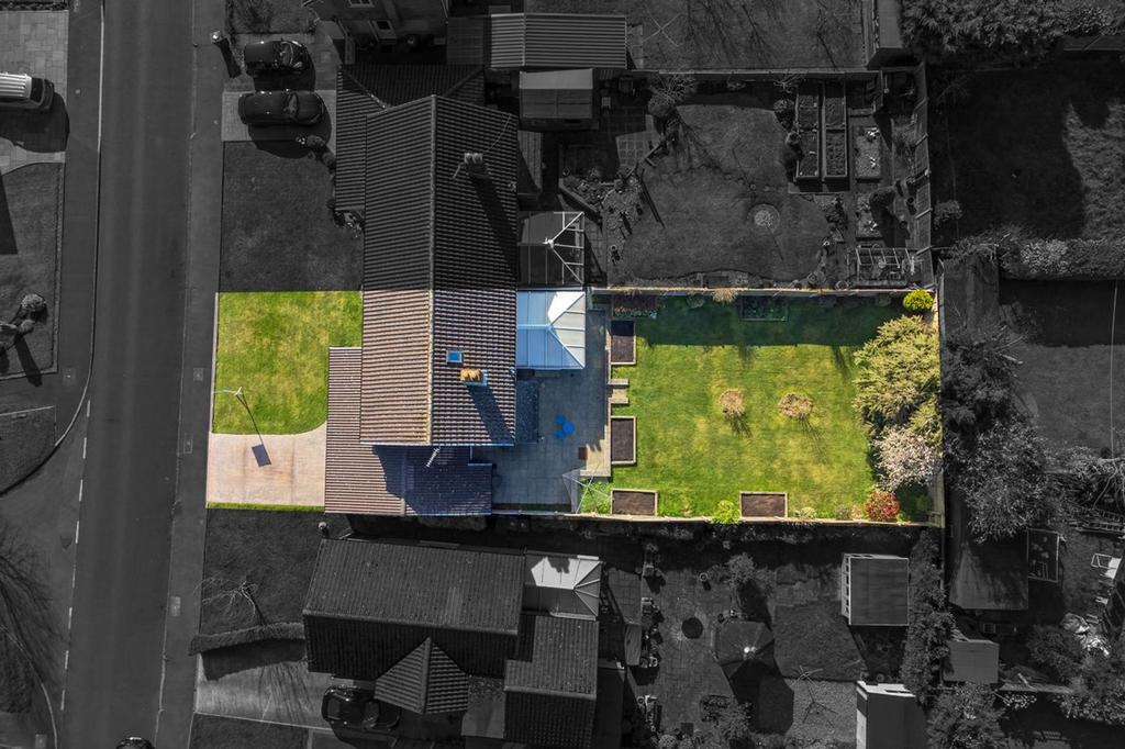 Plot Size