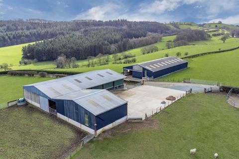 undefined, Maesmawr, Welshpool