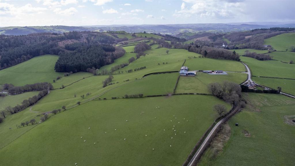 DJI 0331.jpg