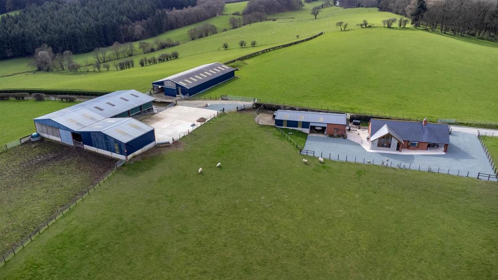DJI 0341.jpg