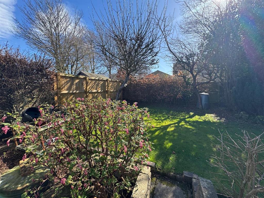 Garden 4.jpg