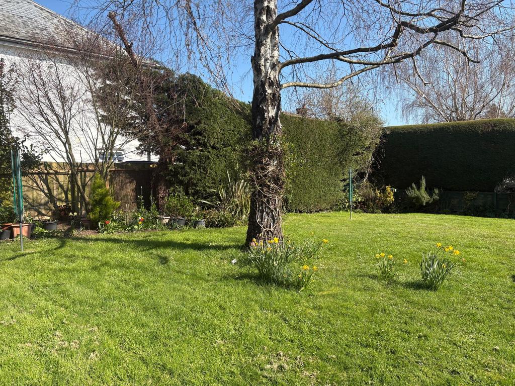 Communal garden
