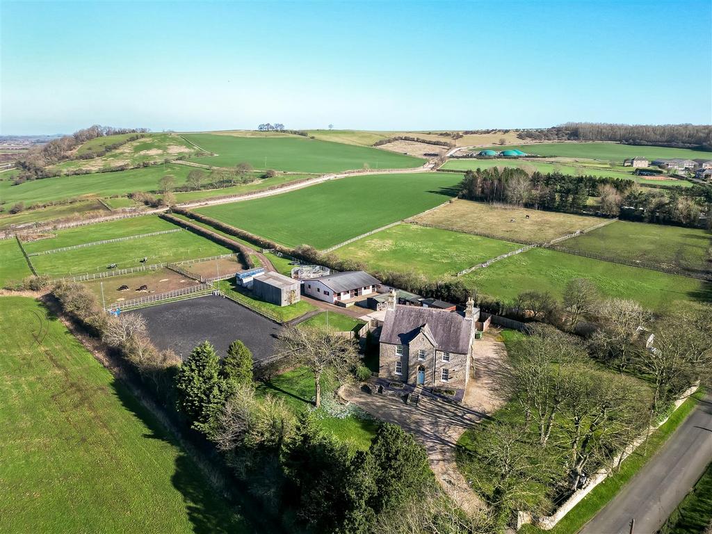 DJI 0080.jpg