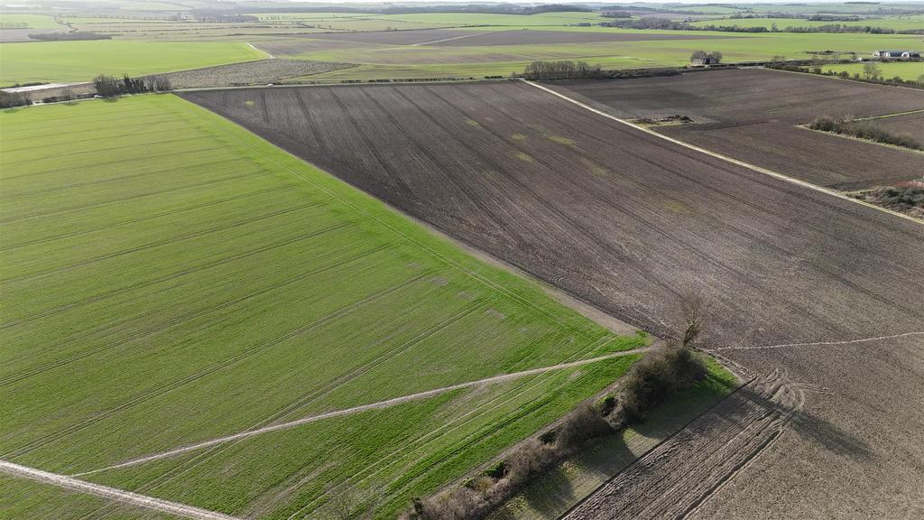 Dji 20260217105654 0109 d.jpg