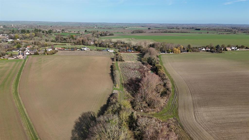 Dji 20260217103830 0068 d.jpg