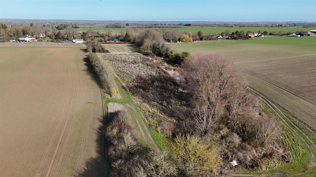 Dji 20260217103952 0073 d.jpg
