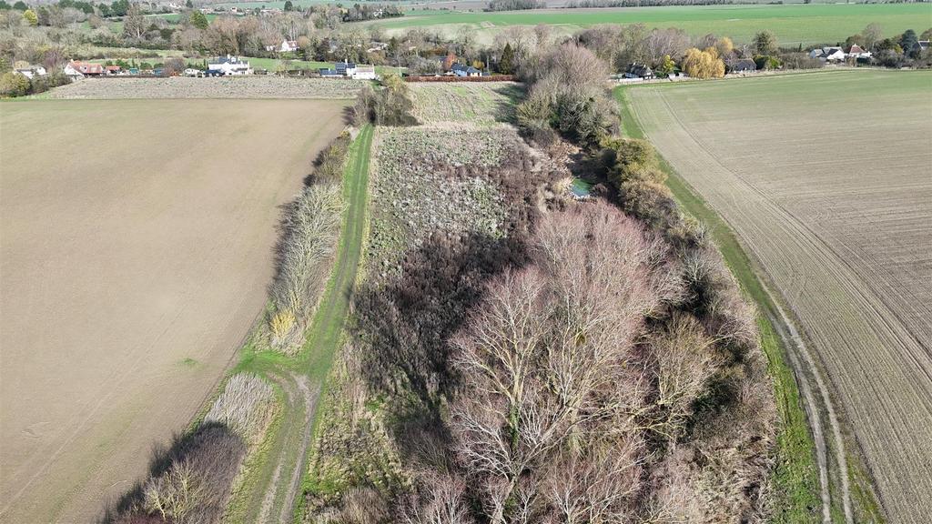 Dji 20260217104114 0078 d.jpg