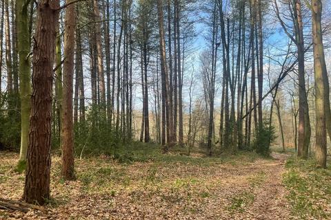 undefined, Stancliffe Wood, Chapeltown, South Yorkshire S35