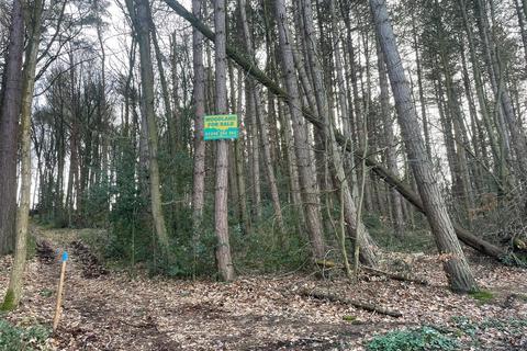 undefined, Stancliffe Wood, Chapeltown, South Yorkshire S35