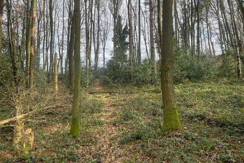 undefined, Stancliffe Wood, Chapeltown, South Yorkshire S35