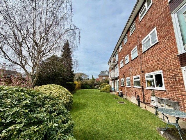 Garden view, garden