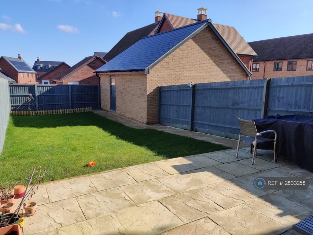 Back Garden