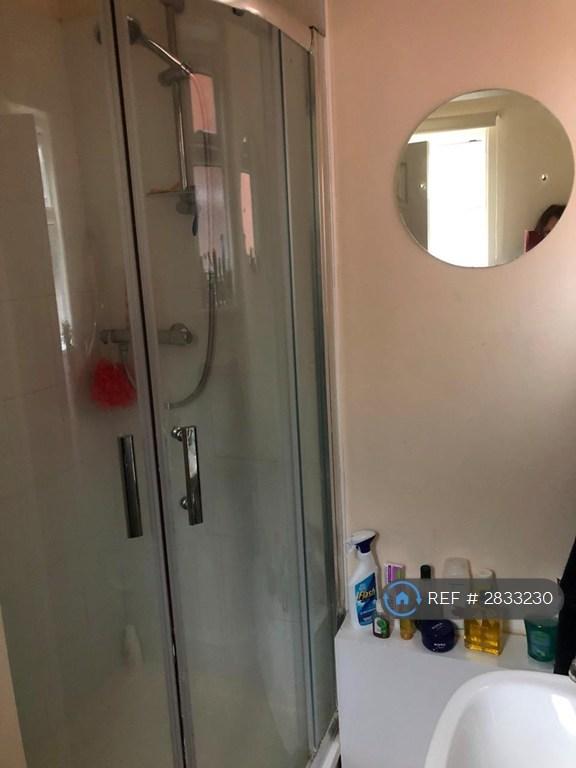 Downstairs Shower