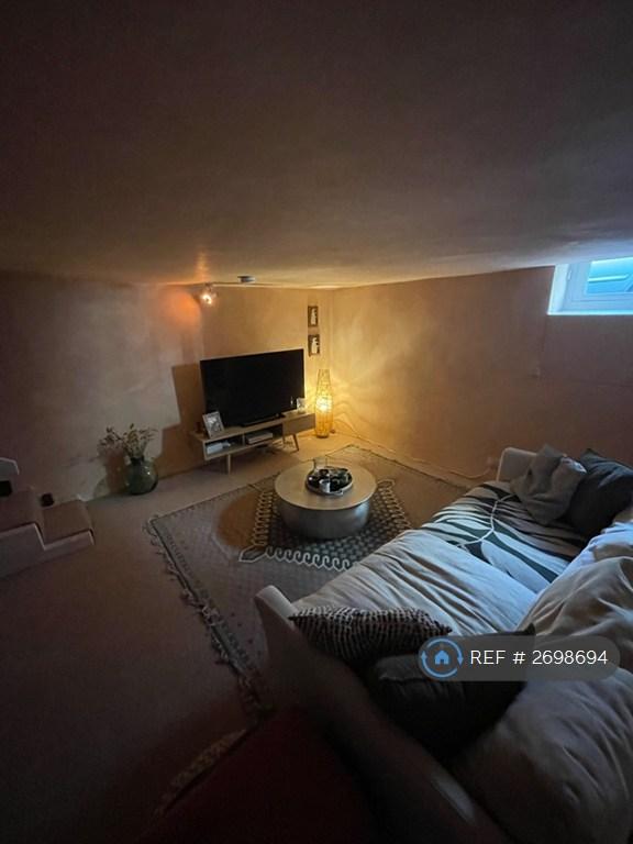 Basement Living Room