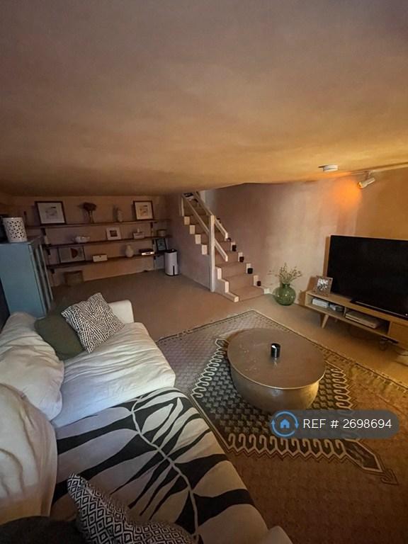 Basement Living Room
