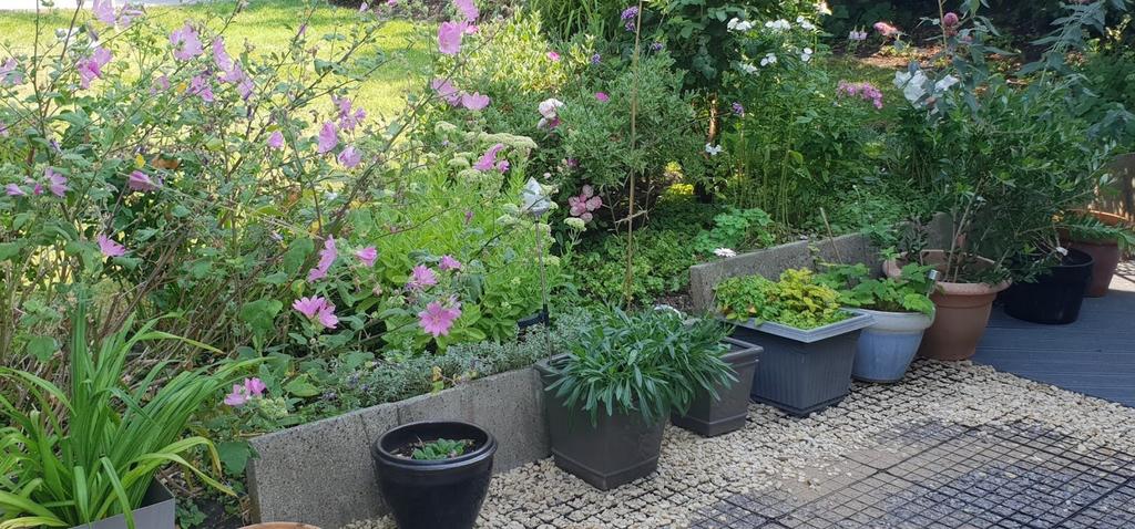 Well-kept cottage-style garden border with flow...