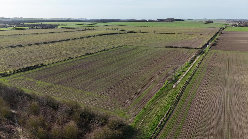 Dji 20260217101528 0036 d.jpg