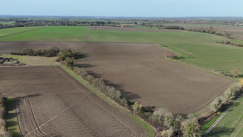 Dji 20260217105616 0106 d.jpg