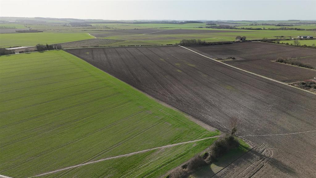 Dji 20260217105647 0108 d.jpg
