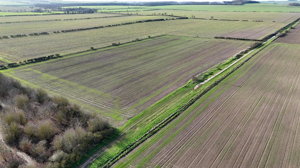 Dji 20260217101517 0034 d.jpg