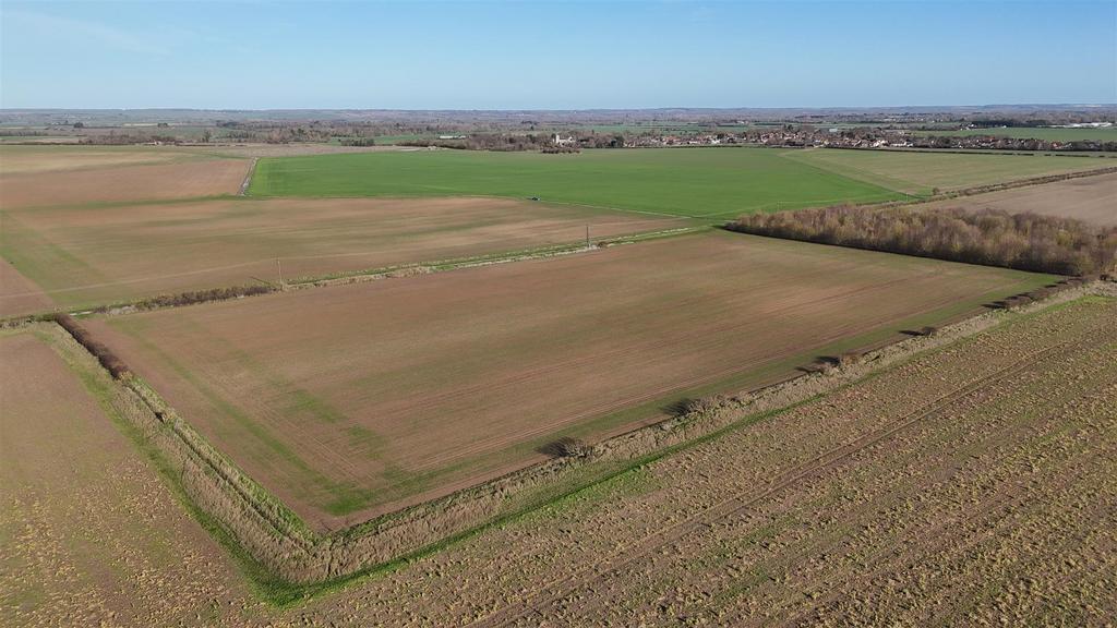 Dji 20260217101808 0046 d.jpg