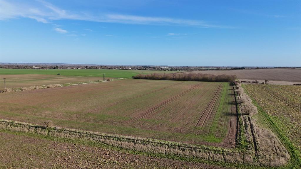 Dji 20260217101904 0050 d.jpg