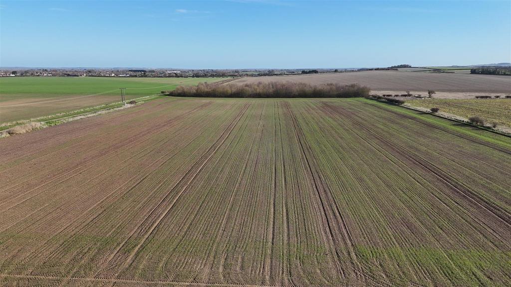 Dji 20260217101923 0051 d.jpg