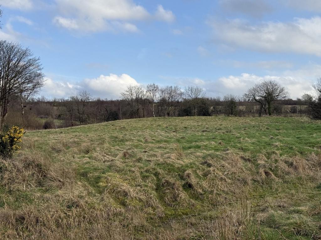 Lot 2