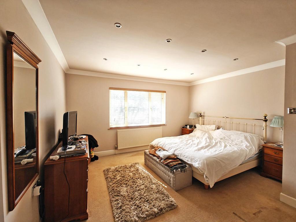 Picture 13