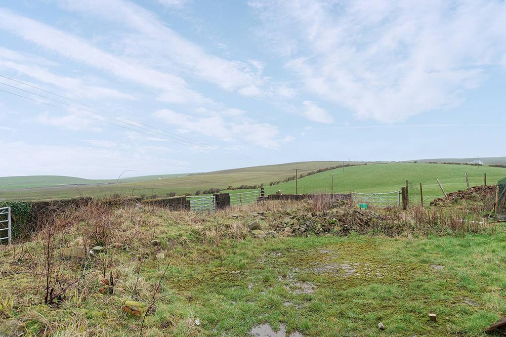 MFL9258241 267.jpg
