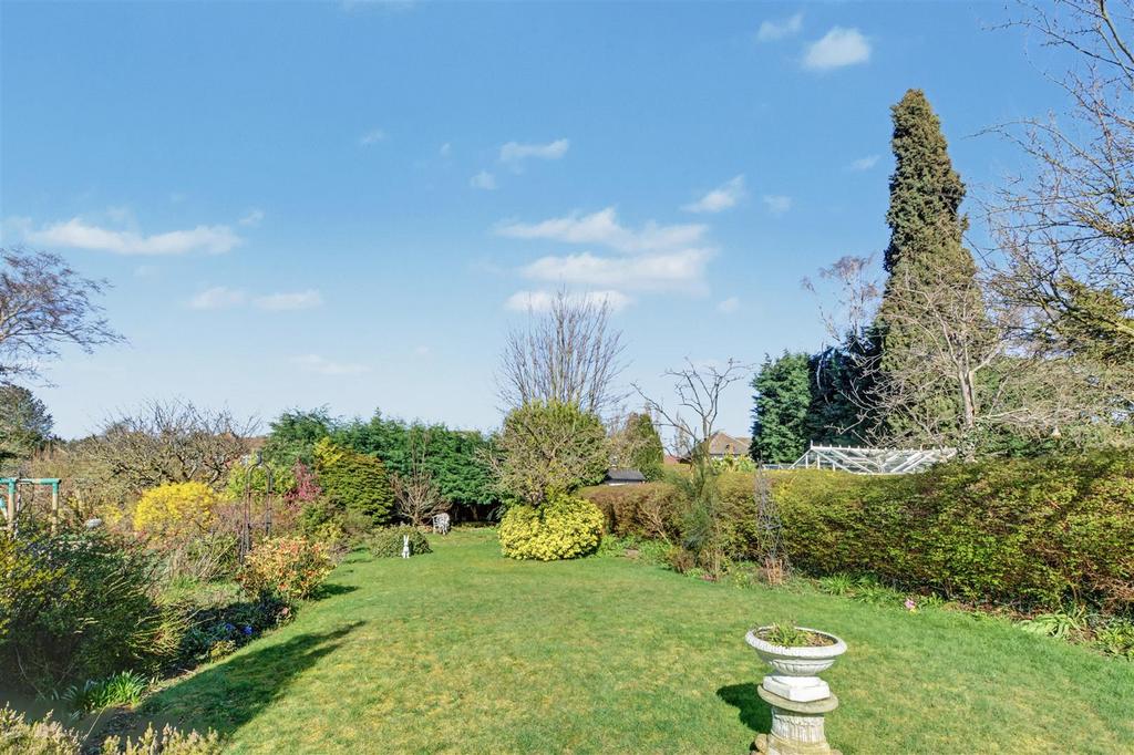 Garden 2.jpeg