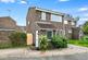 Camellia Close, Essex CM1