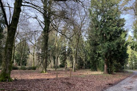 undefined, Sylvan Wood (about 4 acres), Crawley, Winchester, Hampshire SO21