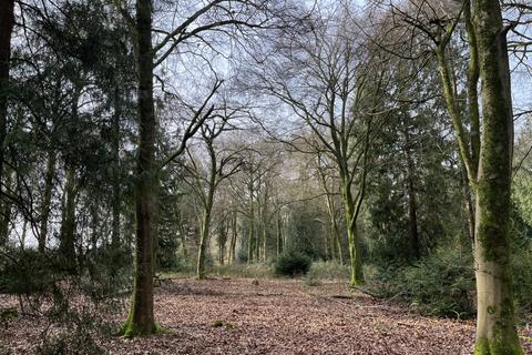 undefined, Sylvan Wood (about 4 acres), Crawley, Winchester, Hampshire SO21