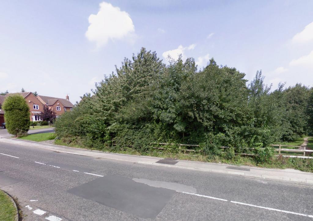 Plot  1  T202603121321.jpg