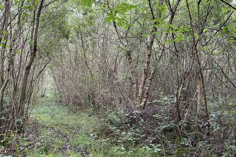 undefined, Herrywell Wood (just under 7 and a quarter acres), Cotgrave, Cotgrave, near Nottingham, Nottinghamshire NG12