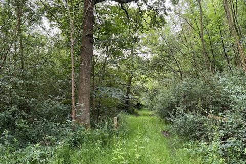 undefined, Herrywell Wood (just under 7 and a quarter acres), Cotgrave, Cotgrave, near Nottingham, Nottinghamshire NG12